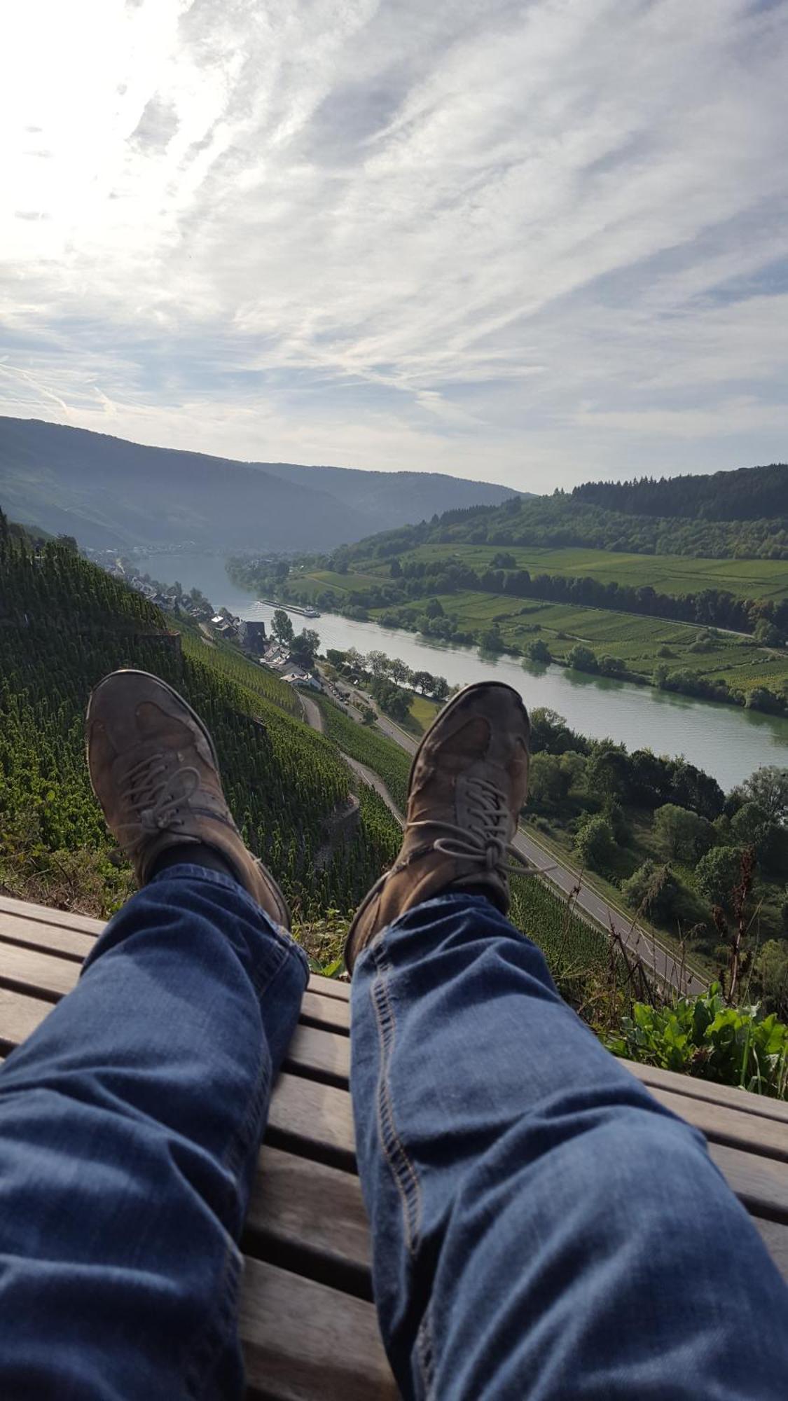 Ferienwohnung Sternenwald Alf Bagian luar foto