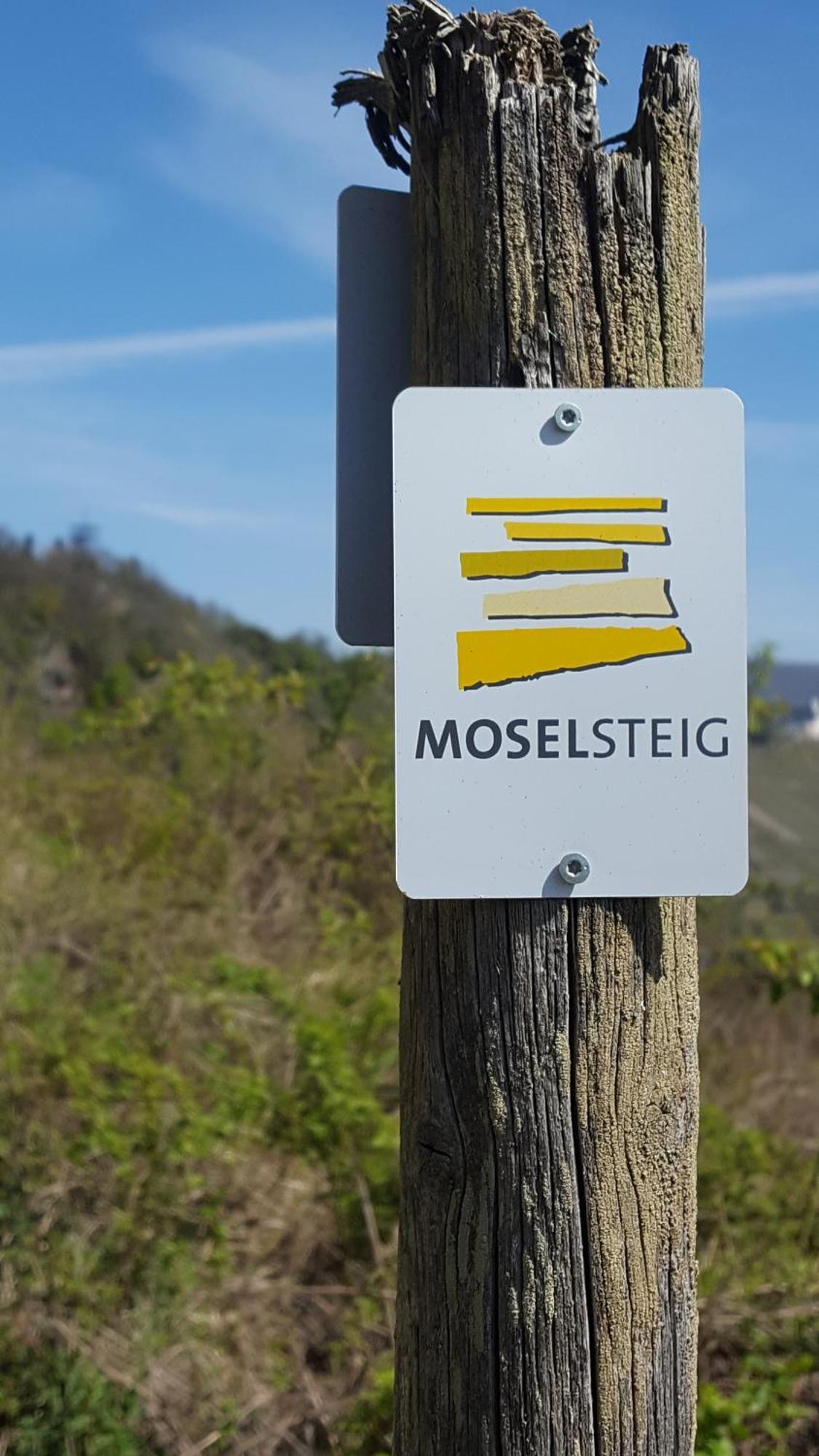 Ferienwohnung Sternenwald Alf Bagian luar foto