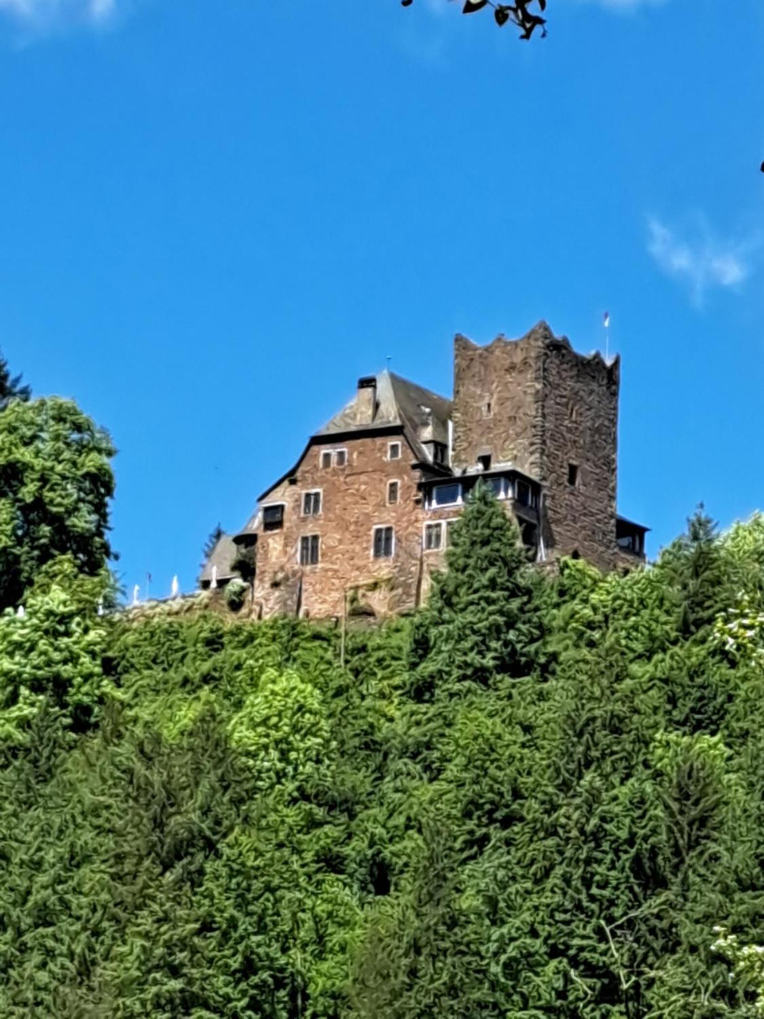 Ferienwohnung Sternenwald Alf Bagian luar foto